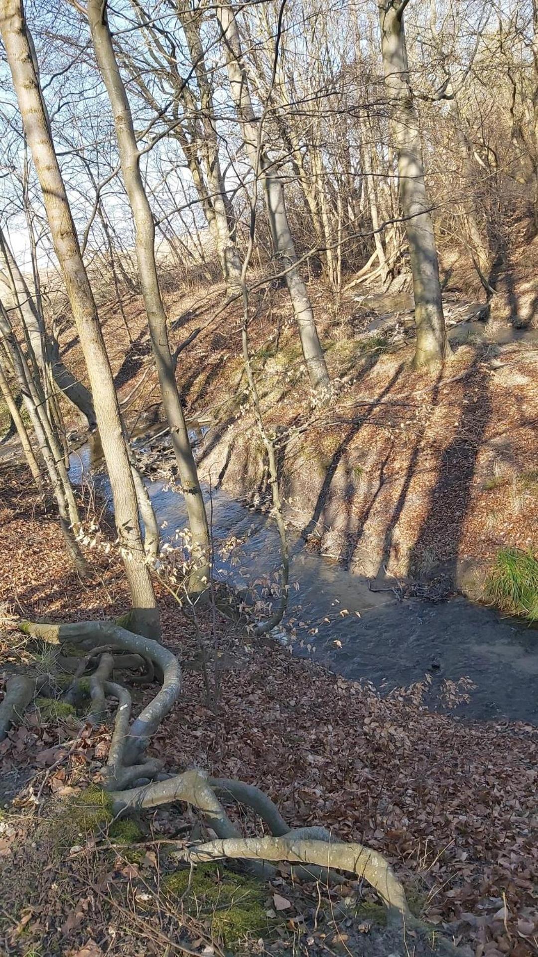 Ferienhaus An Der Brunnenaue 4 Sterne, E-Ladestation Am Haus, Wlan, Netflix, Garten Заґард Екстер'єр фото